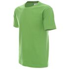 Koszulka robocza T-shirt Promostars Heavy 170 - 21172, jasnozielona..