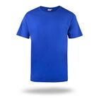 Koszulka T-Shirt męski Promostars (Mark the Helper) Worker 77200, chabrowa