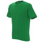 Koszulka robocza T-shirt Geffer 200 - 29000, zielona