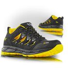 Półbuty robocze VM Footwear Tenerife 4795 O1 FO SRA