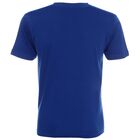 Koszulka robocza T-shirt męski Promostars Standard 150 - 21150, chabrowa